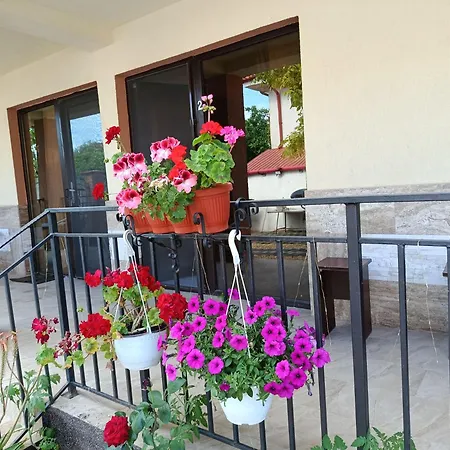 Guest house Casa Daymar