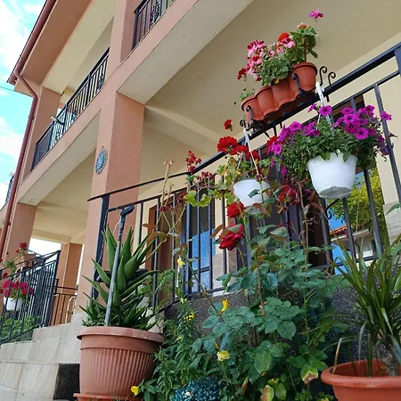 Guest house Casa Daymar 4*