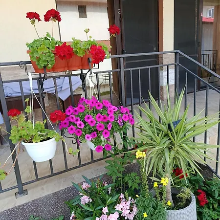 Guest house Casa Daymar 2 Mai
