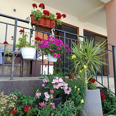 Casa Daymar 4* 2 Mai